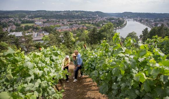 Vignoble Le Clos des Prebendiers Huy