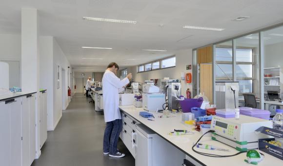 Delphi Genetics a récemment quadruplé ses capacités de production suite à une forte augmentation de la demande.