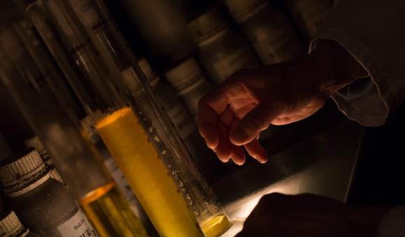 Guy Delforge : Master Perfumer 