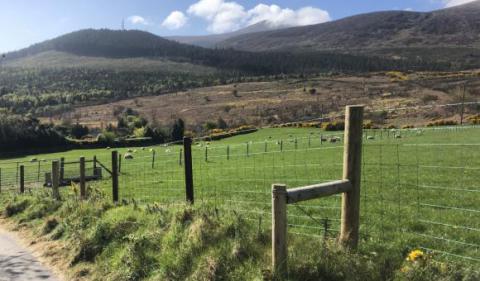 Mourne Mountains, Newcastle, Ireland