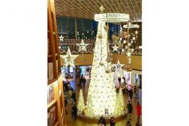 Globall Concept specialises in festive decorations and lights. Globall Concept specialises in festive decorations and lights.