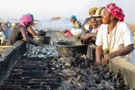 Women in the fishing industry at Joal-Fadiouth - © APEFE Women in the fishing industry at Joal-Fadiouth - © APEFE