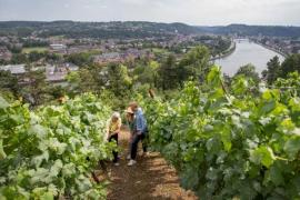 Huy - Vignoble "Le Clos des Prébendiers" (c) WBT - David Samyn Vignoble Le Clos des Prebendiers Huy