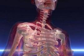 Reconstructing bone with fat: it can be done! Reconstructing bone with fat: it can be done!