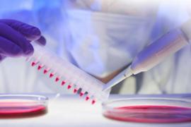 Cardio3 BioSciences : entreprise la plus innovante de Wallonie Cardio3 BioSciences : entreprise la plus innovante de Wallonie