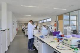 Delphi Genetics a récemment quadruplé ses capacités de production suite à une forte augmentation de la demande. Delphi Genetics a récemment quadruplé ses capacités de production suite à une forte augmentation de la demande.