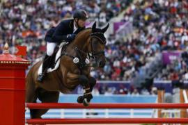 Obstacles franchis pour les chevaux belges Obstacles franchis pour les chevaux belges