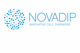 La technologie révolutionnaire développée par Novadip consiste à former un greffon osseux à partir du tissu graisseux du patient. La technologie révolutionnaire développée par Novadip consiste à former un greffon osseux à partir du tissu graisseux du patient.